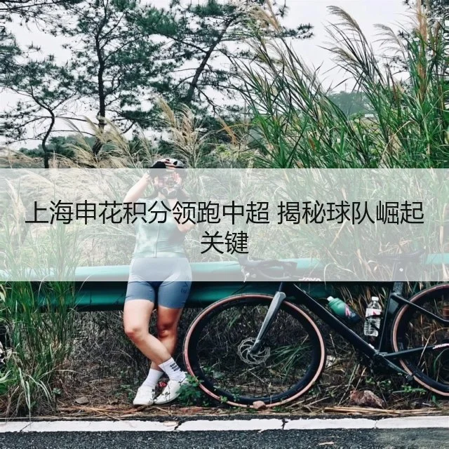 上海申花积分领跑中超 揭秘球队崛起关键